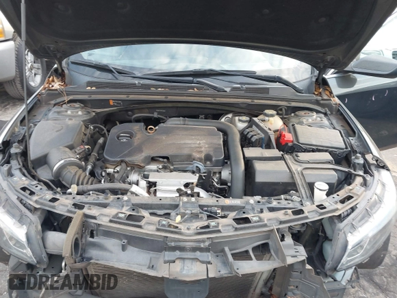2017 Chevrolet Malibu LS with VIN 1G1ZB5ST2HF159335, listed as a IAAI auction lot 41582069 with 180,906 mi miles and . Bid and sale history available at DreamBid. Image 10.
