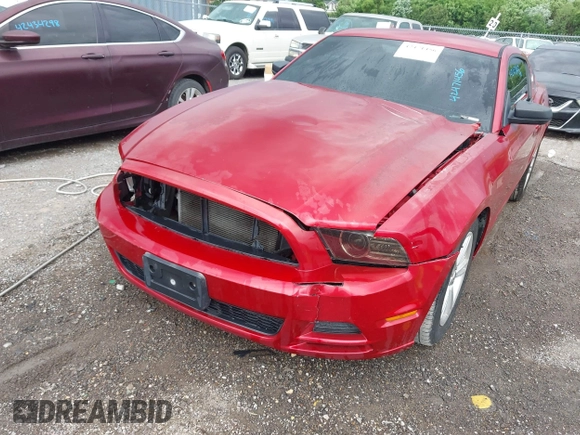 2013 Ford Mustang V6 with VIN 1ZVBP8AM9D5283332, listed as a IAAI auction lot 42471456 with 108,514 mi miles and . Bid and sale history available at DreamBid. Image 6.