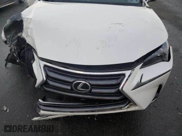 2017 Lexus NX 200t with VIN JTJBARBZ8H2114203, listed as a Copart auction lot 84314244 with Not provided miles and Salvage title. Bid and sale history available at DreamBid. Image 13.
