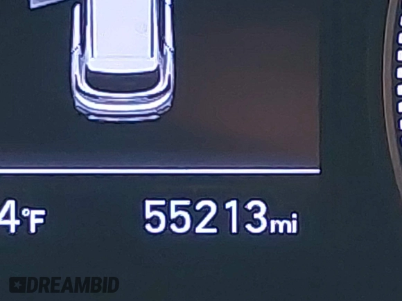 2019 Hyundai Santa Fe SE with VIN 5NMS2CAD2KH116731, listed as a IAAI auction lot 42689306 with 55,213 mi miles and . Bid and sale history available at DreamBid. Image 15.