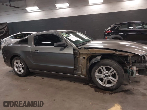 2013 Ford Mustang V6 with VIN 1ZVBP8AM5D5229655, listed as a IAAI auction lot 41824722 with 122,971 mi miles. Bid and sale history available at carsss.com. Image 14.