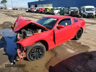 2014 Ford Mustang GT with VIN 1ZVBP8CFXE5204072, listed as a Copart auction lot 51315025 with Not provided miles and Salvage title. Bid and sale history available at DreamBid. Image 1.