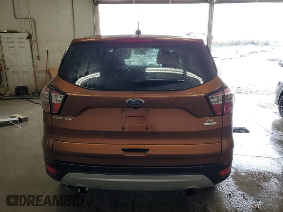 2017 Ford Escape SE with VIN 1FMCU0GD7HUE53039, listed as a Copart auction lot 51157025 with 89,216 mi miles and Salvage Title. Bid and sale history available at DreamBid. Image 6.