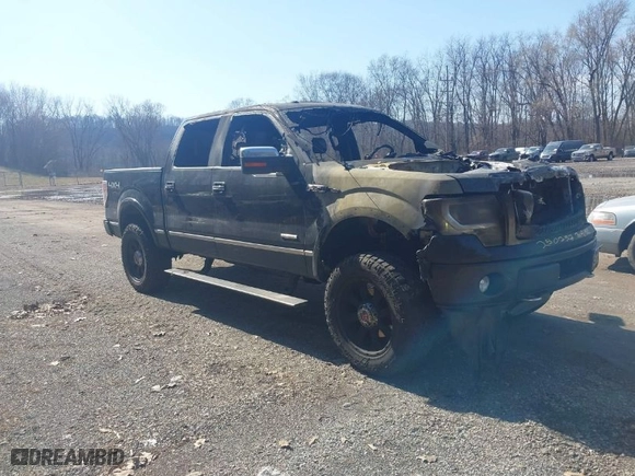 2013 Ford F-150 XL with VIN 1FTFW1ET2DFD39539, listed as a IAAI auction lot 41736604 with 160,085 mi miles. Bid and sale history available at carsss.com. Image 1.