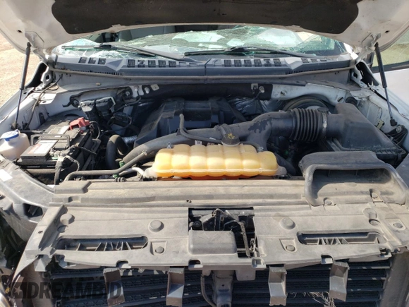 2017 Ford F-150 XL with VIN 1FTEX1CP7HFA22392, listed as a Copart auction lot 57282094 with 160,721 mi miles and Salvage Title. Bid and sale history available at carsss.com. Image 11.