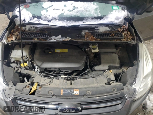 2014 Ford Escape SE with VIN 1FMCU9GX8EUC26579, listed as a Copart auction lot 48147975 with Not Provided miles and Clean Title. Bid and sale history available at DreamBid. Image 12.