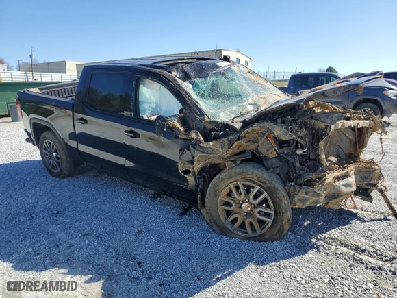 2020 GMC Sierra 1500 AT4 with VIN 1GTP9EEL9LZ359724, listed as a Copart auction lot 50170725 with 0 mi miles and Salvage Title. Bid and sale history available at carsss.com. Image 4.