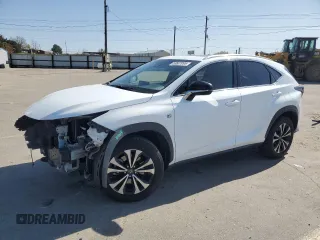 2019 Lexus NX 300 with VIN JTJBARBZ7K2203087, listed as a Copart auction lot 53687095 with 60,454 mi miles and Salvage Title. Bid and sale history available at DreamBid. Image 1.