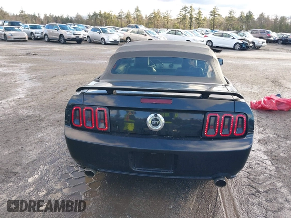 2007 Ford Mustang GT Deluxe with VIN 1ZVFT85H875335046, listed as a IAAI auction lot 41211492 with 108,509 mi miles and . Bid and sale history available at carsss.com. Image 16.