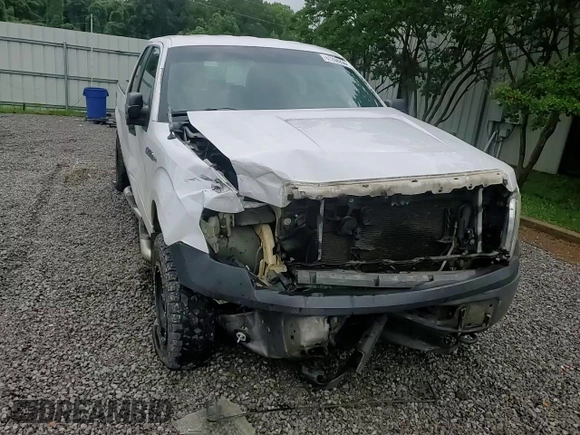 2013 Ford F-150 XL with VIN 1FTEX1EM0DFB88427, listed as a Copart auction lot 61206235 with 196,311 mi miles and Salvage title. Bid and sale history available at DreamBid. Image 13.