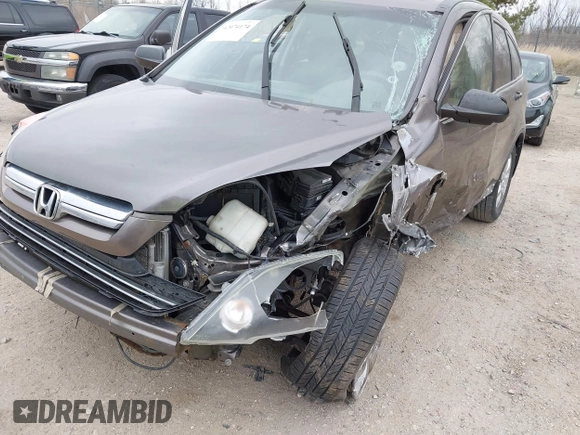 2009 Honda CR-V EX with VIN 5J6RE48509L036518, listed as a IAAI auction lot 42074174 with Not Provided miles and . Bid and sale history available at carsss.com. Image 6.