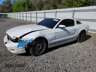 2014 Ford Mustang V6 with VIN 1ZVBP8AM1E5319001, listed as a Copart auction lot 49256535 with 170,655 mi miles and Salvage Title. Bid and sale history available at carsss.com. Image 1.