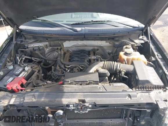 2013 Ford F-150 XL with VIN 1FTFW1EF1DKE75579, listed as a IAAI auction lot 42288530 with 141,354 mi miles and . Bid and sale history available at DreamBid. Image 10.