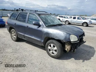 2005 Hyundai Santa Fe GLS with VIN KM8SC73D25U868391, listed as a Copart auction lot 50810045 with 119,074 mi miles and Salvage Title. Bid and sale history available at carsss.com. Image 4.