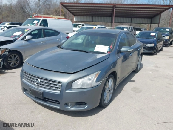 2010 Nissan Maxima 3.5 SV w/Premium Pkg with VIN 1N4AA5AP1AC853247, listed as a IAAI auction lot 41787704 with 90,537 mi miles. Bid and sale history available at carsss.com. Image 2.