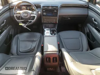2022 Hyundai Tucson Limited with VIN 5NMJECAE9NH051862, listed as a Copart auction lot 76161144 with 124,690 mi miles and Salvage Title. Bid and sale history available at carsss.com. Image 8.