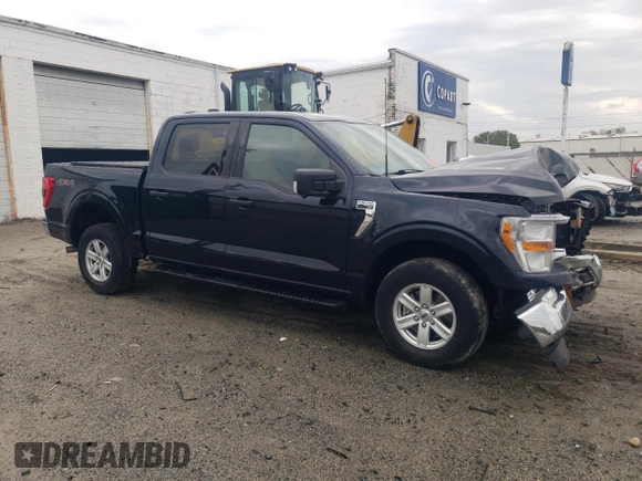 2022 Ford F-150 XL with VIN 1FTFW1E89NKE42820, listed as a Copart auction lot 52447775 with Not Provided miles and Salvage Title. Bid and sale history available at DreamBid. Image 4.