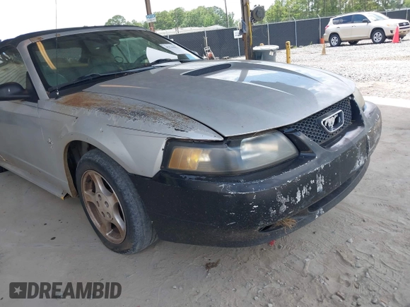 2002 Ford Mustang Deluxe with VIN 1FAFP444X2F175257, listed as a IAAI auction lot 42544832 with Not provided miles and . Bid and sale history available at DreamBid. Image 13.