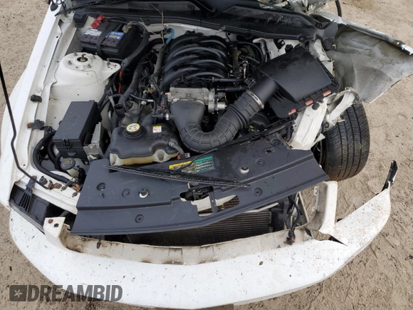 2006 Ford Mustang GT Deluxe with VIN 1ZVHT82H665248483, listed as a Copart auction lot 43163155 with 0 mi miles and Salvage Title. Bid and sale history available at carsss.com. Image 12.