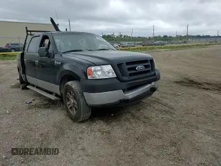 2006 Ford F-150 XLT with VIN 1FTPW12546KB05083, listed as a Copart auction lot 50894295 with Not provided miles and Salvage title. Bid and sale history available at DreamBid. Image 10.