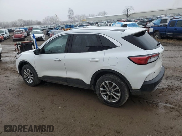 2022 Ford Escape SE with VIN 1FMCU9G64NUA44076, listed as a Copart auction lot 81164444 with 75,201 mi miles and Non Repairable. Bid and sale history available at DreamBid. Image 2.
