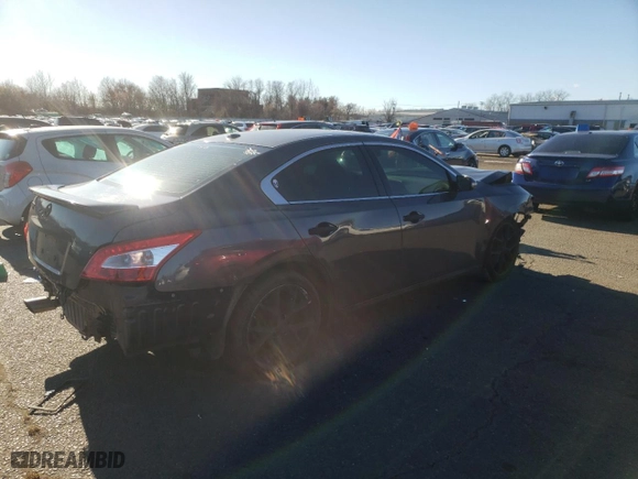 2010 Nissan Maxima 3.5 SV w/Sport Pkg with VIN 1N4AA5AP4AC852559, listed as a Copart auction lot 83416194 with 200,603 mi miles and Salvage Title. Bid and sale history available at carsss.com. Image 3.