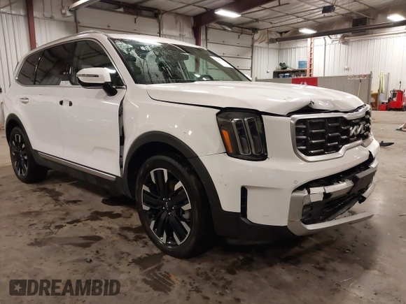 2024 Kia Telluride SX Prestige с VIN 5XYP5DGC5RG428614, выставлен на аукционе IAAI как лот 42352783 с пробегом 19 448 миль миль и . История ставок и продаж доступна на DreamBid. Изображение 1.