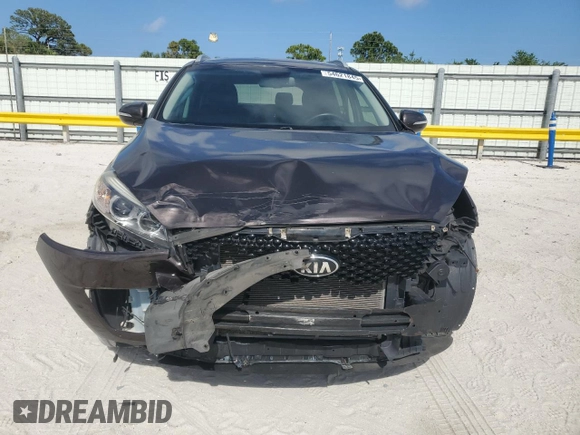 2016 Kia Sorento EX with VIN 5XYPH4A59GG008210, listed as a Copart auction lot 54621845 with 124,208 mi miles and Salvage Title. Bid and sale history available at carsss.com. Image 5.