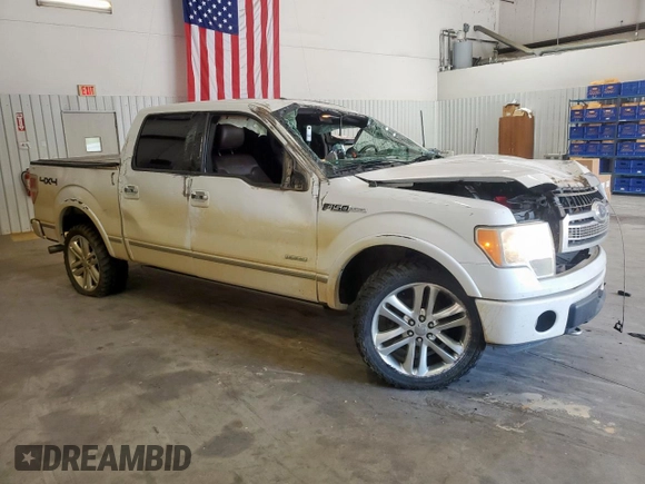 2012 Ford F-150 XL with VIN 1FTFW1ETXCFC76351, listed as a Copart auction lot 62602085 with 224,219 mi miles and Salvage title. Bid and sale history available at DreamBid. Image 4.