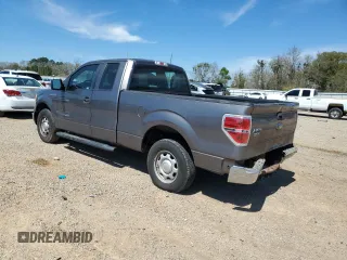 2010 Ford F-150 XL with VIN 1FTEX1CW4AFD39298, listed as a Copart auction lot 49581095 with 190,791 mi miles and Salvage Title. Bid and sale history available at carsss.com. Image 2.
