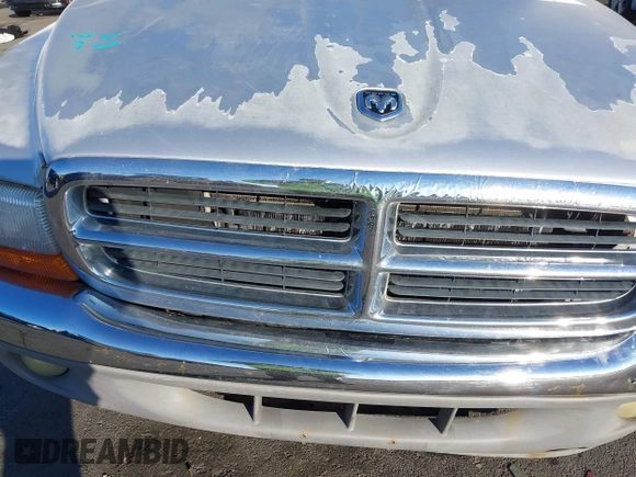 2004 Dodge Dakota SLT with VIN 1D7HG48N24S699380, listed as a IAAI auction lot 41436819 with 1 mi miles. Bid and sale history available at carsss.com. Image 10.
