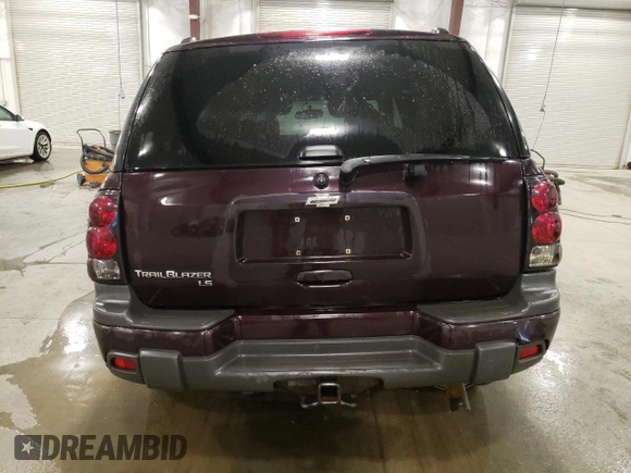 2008 Chevrolet TrailBlazer 1LT with VIN 1GNDT13S382237469, listed as a Copart auction lot 54240205 with 93,172 mi miles and Salvage Title. Bid and sale history available at DreamBid. Image 6.