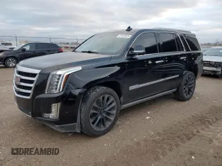 2017 Cadillac Escalade Premium Luxury with VIN 1GYS3CKJ4HR337750, listed as a Copart auction lot 87628035 with 107,142 mi miles and Clean title. Bid and sale history available at DreamBid. Image 1.