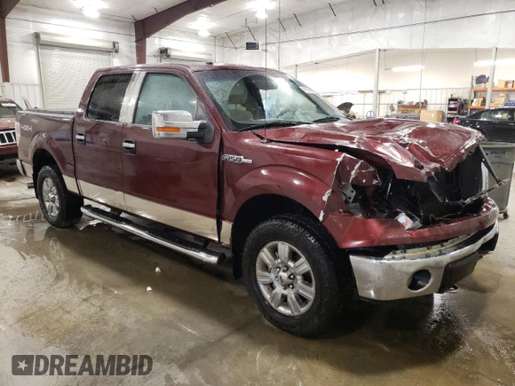 2010 Ford F-150 XL with VIN 1FTFW1EVXAKC19217, listed as a Copart auction lot 49967965 with 178,418 mi miles and Salvage Title. Bid and sale history available at carsss.com. Image 4.