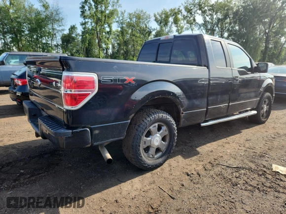 2010 Ford F-150 XL with VIN 1FTEX1E84AFB67904, listed as a Copart auction lot 64448135 with 139,156 mi miles and Clean title. Bid and sale history available at DreamBid. Image 3.