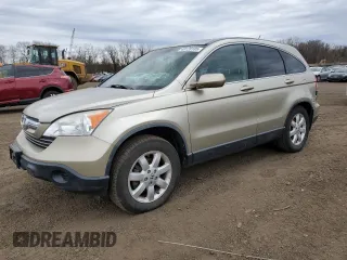 2009 Honda CR-V EX-L with VIN JHLRE487X9C024449, listed as a Copart auction lot 48128185 with 153,362 mi miles and Salvage Title. Bid and sale history available at carsss.com. Image 1.