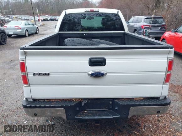 2010 Ford F-150 XL with VIN 1FTEX1E85AKC18141, listed as a IAAI auction lot 41948061 with 188,422 mi miles. Bid and sale history available at carsss.com. Image 16.