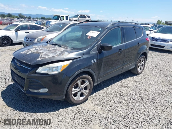 2014 Ford Escape SE with VIN 1FMCU9GX7EUB53012, listed as a IAAI auction lot 42639014 with Not provided miles and . Bid and sale history available at DreamBid. Image 2.