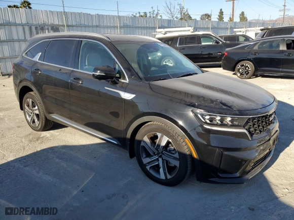 2024 Kia Sorento Hybrid SX Prestige with VIN KNDRKDLG0R5259914, listed as a Copart auction lot 81135314 with 8,707 mi miles and Salvage Title. Bid and sale history available at carsss.com. Image 4.