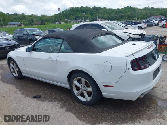 2014 Ford Mustang V6 with VIN 1ZVBP8EM2E5220391, listed as a IAAI auction lot 42160616 with 178,080 mi miles and . Bid and sale history available at DreamBid. Image 14.