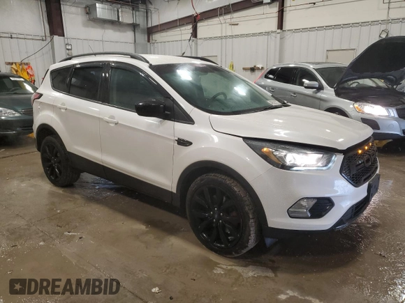 2017 Ford Escape SE with VIN 1FMCU9G94HUB58920, listed as a Copart auction lot 49580275 with 84,097 mi miles and Clean Title. Bid and sale history available at DreamBid. Image 4.