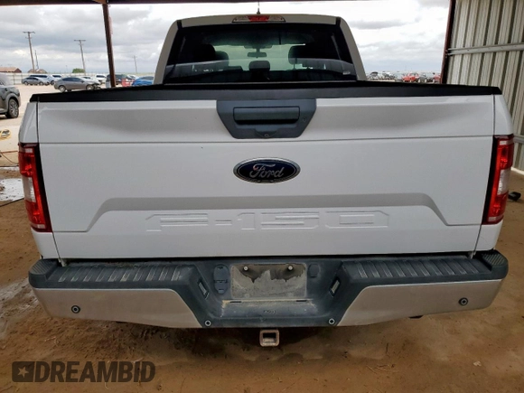 2019 Ford F-150 XL with VIN 1FTFW1E54KKE16420, listed as a Copart auction lot 62522515 with 141,177 mi miles and Clean title. Bid and sale history available at DreamBid. Image 6.