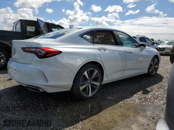 2024 Acura TLX Technology with VIN 19UUB5F45RA000538, listed as a Copart auction lot 73883594 with Not Provided miles and Non Repairable. Bid and sale history available at DreamBid. Image 3.