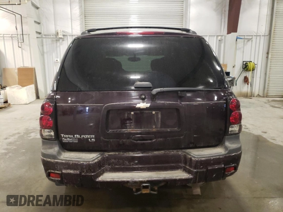 2008 Chevrolet TrailBlazer LT w/3LT with VIN 1GNDT13S482146680, listed as a Copart auction lot 48977015 with 111,805 mi miles and Salvage Title. Bid and sale history available at carsss.com. Image 6.