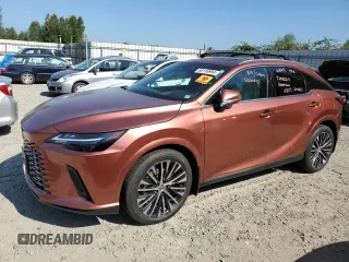 2023 Lexus RX with VIN 2T2BBMCA7PC018165, listed as a Copart auction lot 66199994 with Not Provided miles and Salvage Title. Bid and sale history available at carsss.com. Image 1.