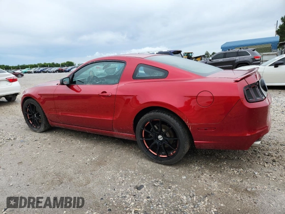 2013 Ford Mustang V6 с VIN 1ZVBP8AM2D5267439, выставлен на аукционе Copart как лот 61307575 с пробегом 109 401 миль миль и Списание • Salvage title. История ставок и продаж доступна на DreamBid. Изображение 2.