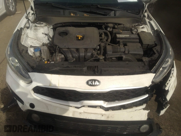 2019 Kia Forte LXS with VIN 3KPF24AD0KE029618, listed as a IAAI auction lot 35861552 with 117,818 mi miles and . Bid and sale history available at carsss.com. Image 10.