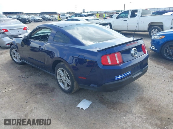 2010 Ford Mustang V6 with VIN 1ZVBP8AN9A5140305, listed as a IAAI auction lot 42171784 with 218,434 mi miles and . Bid and sale history available at DreamBid. Image 3.