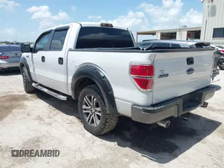 2013 Ford F-150 XL with VIN 1FTEW1CM1DFA73518, listed as a IAAI auction lot 42547017 with 173,416 mi miles and . Bid and sale history available at DreamBid. Image 3.
