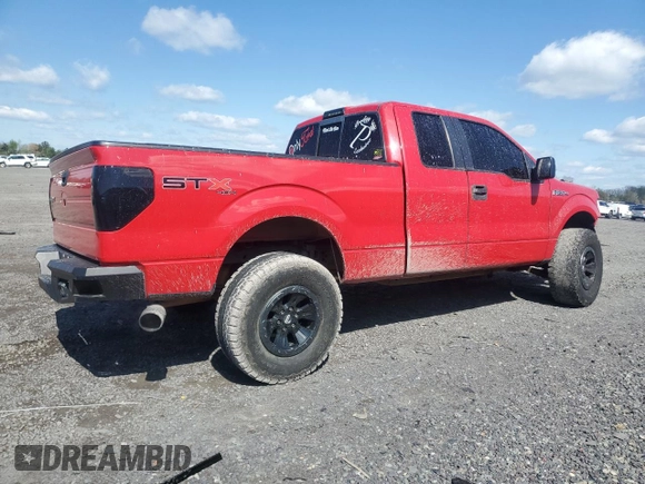 2010 Ford F-150 XL with VIN 1FTEX1EW2AFD63077, listed as a Copart auction lot 52281895 with 160,087 mi miles and Salvage Title. Bid and sale history available at carsss.com. Image 3.